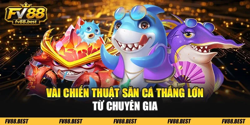 Vài chiến thuật săn cá thắng lớn từ chuyên gia