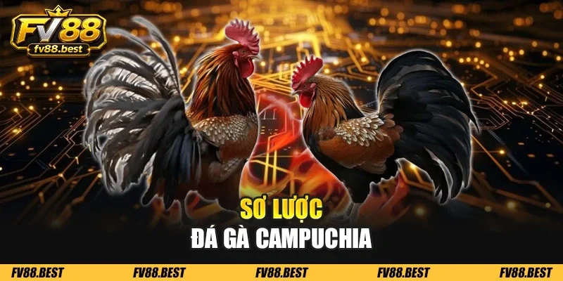 Sơ lược đá gà Campuchia