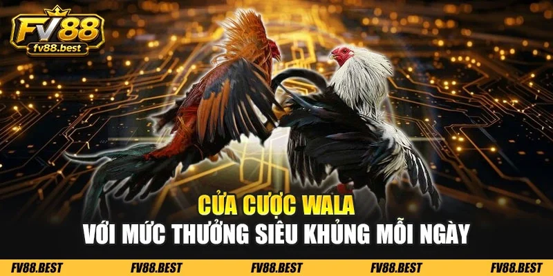 Cửa cược Wala với mức thưởng siêu khủng mỗi ngày