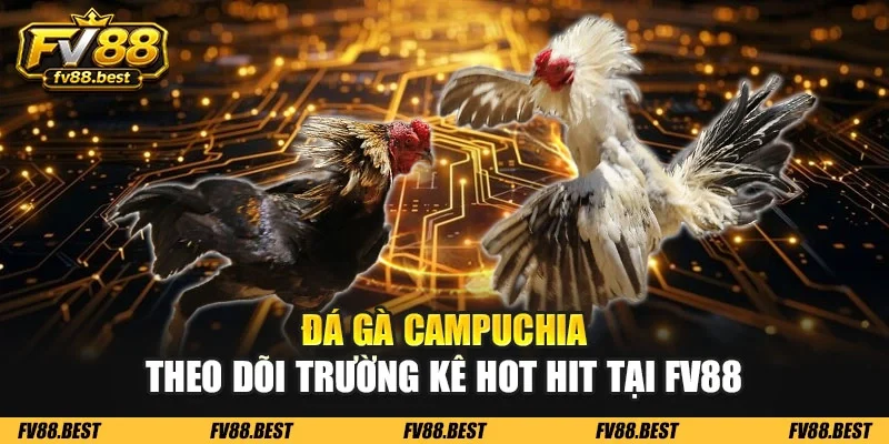 Đá gà Campuchia