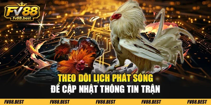 Theo dõi lịch phát sóng để cập nhật thông tin trận