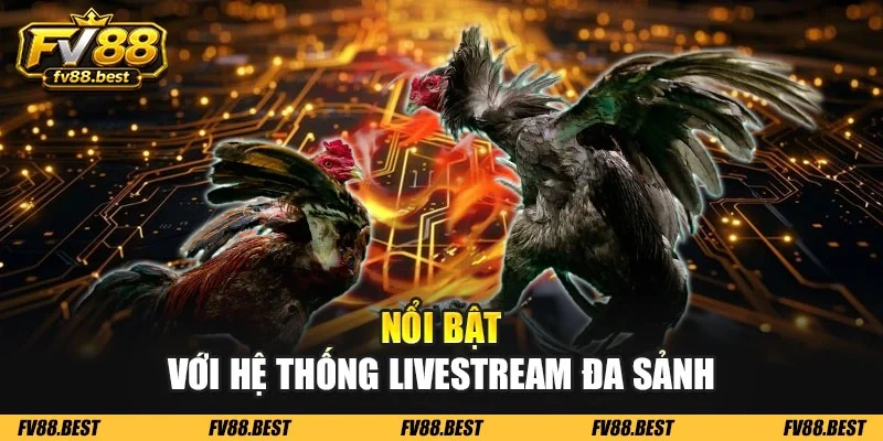 Nổi bật với hệ thống livestream đa sảnh