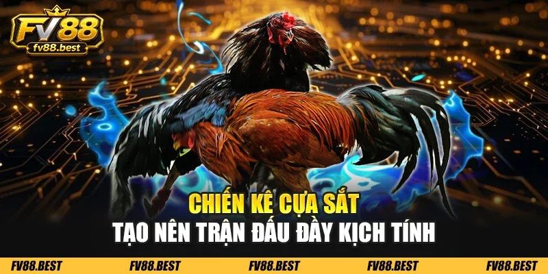 Chiến kê cựa sắt tạo nên trận đấu đầy kịch tính