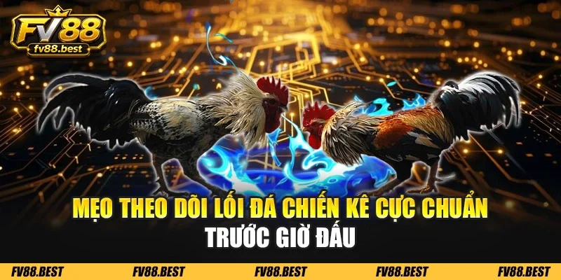 Mẹo theo dõi lối đá chiến kê cực chuẩn trước giờ đấu