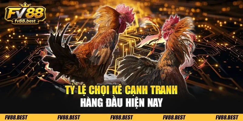 Tỷ lệ chọi kê cạnh tranh hàng đầu hiện nay