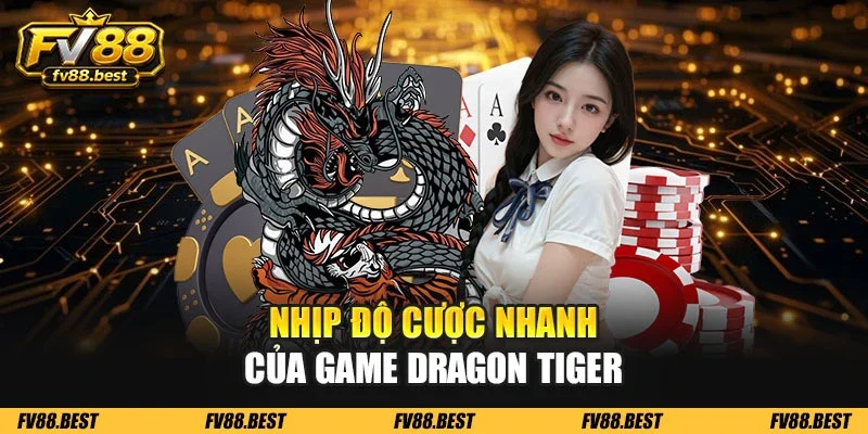 Nhịp độ cược nhanh của game dragon tiger
