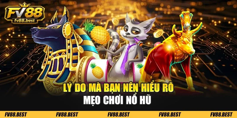 Lý do mà bạn nên hiểu rõ mẹo chơi nổ hũ