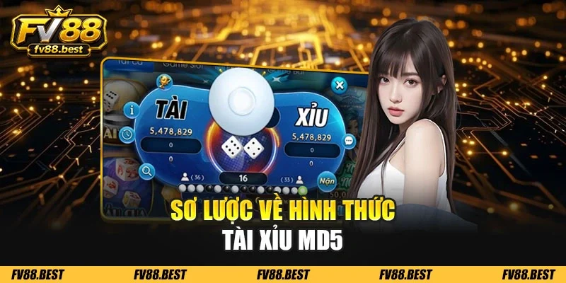 Sơ lược về hình thức Tài xỉu MD5