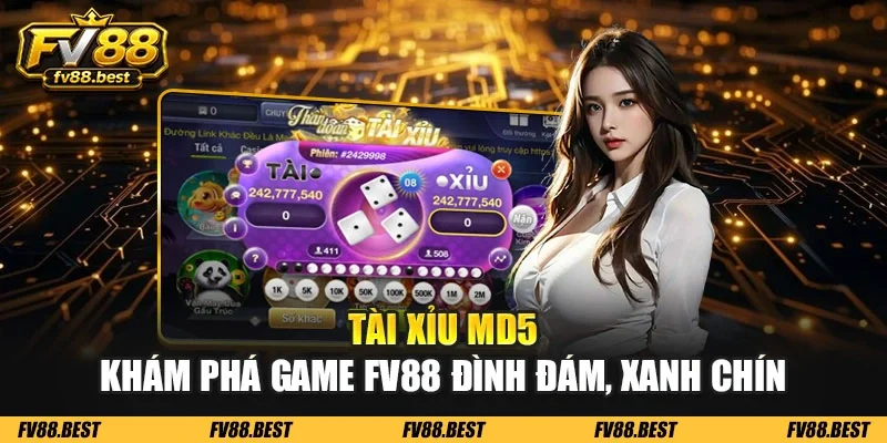 Tài xỉu MD5